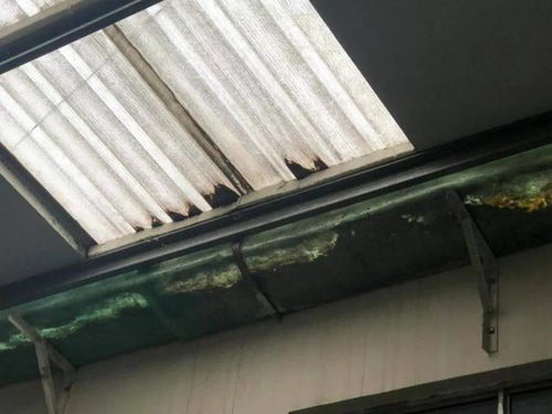 重拳出擊 濰坊這13家單位被依法處罰